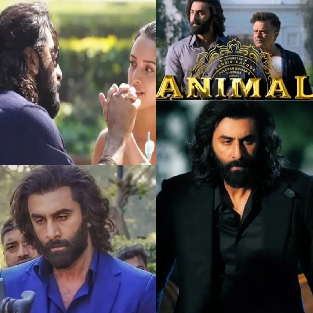 ਤ੍ਰਿਪਤੀ ਡਿਮਰੀ ਐਨੀਮਲ(Animal movie) ਨੂੰ 'ਨਾਰੀਵਾਦੀ ਵਿਰੋਧੀ' ਫਿਲਮ ਨਹੀਂ ਸਮਝਦੀ