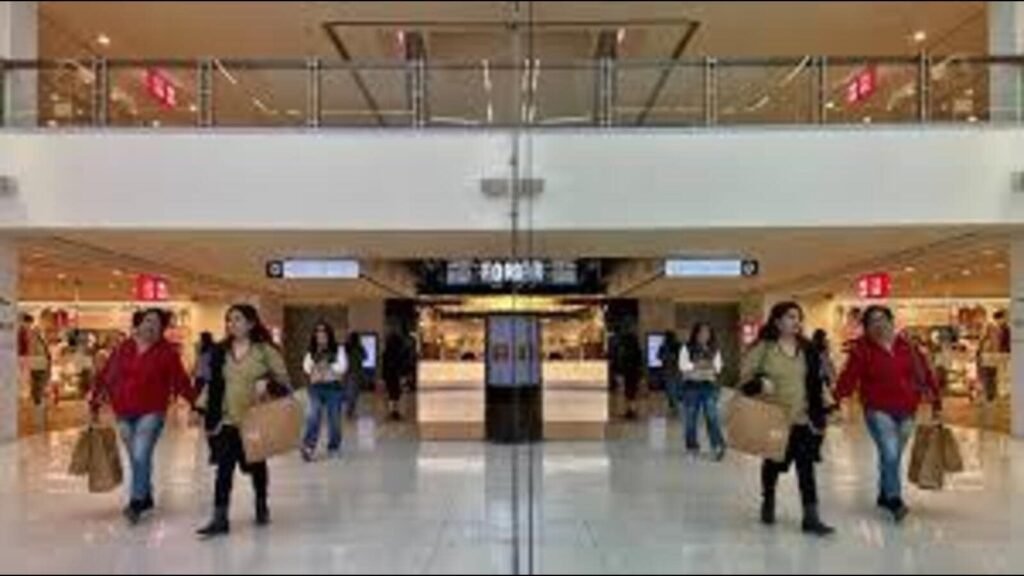 ਪੰਜਾਬੀਆਂ ਨੇ ਸ਼ਹਿਰੀ ਖੇਤਰਾਂ ਵਿੱਚ ਚੋਟੀ ਦਾ ਸਮਾਂ ਬਿਤਾਇਆ: ਸਰਵੇ