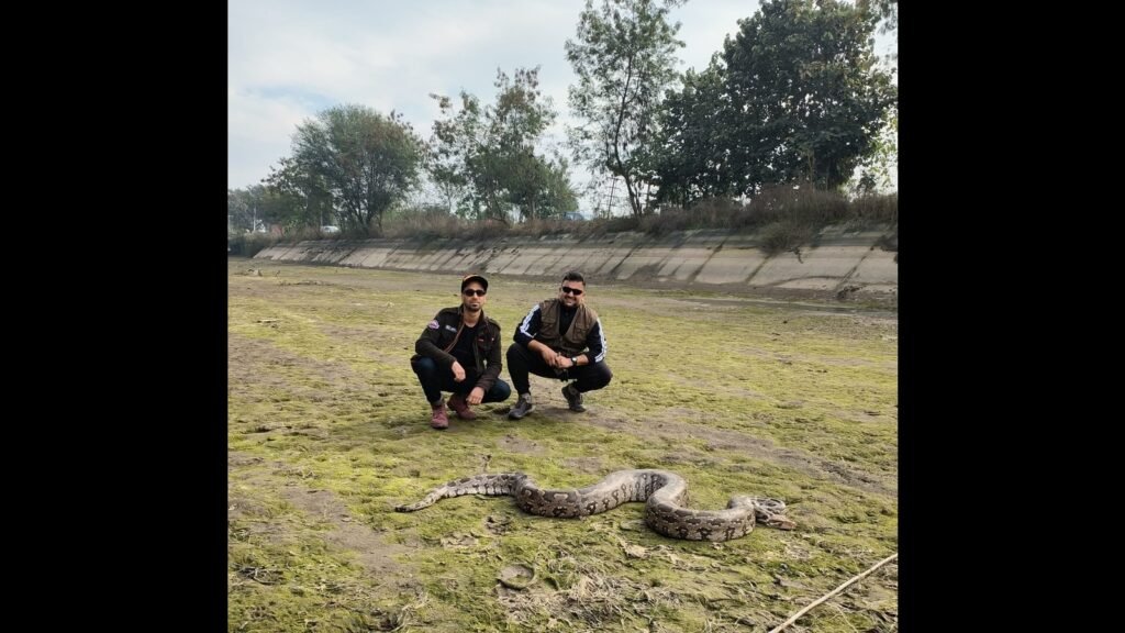 ਵਾਈਲਡਬੇਸ | ਨਹਿਰ