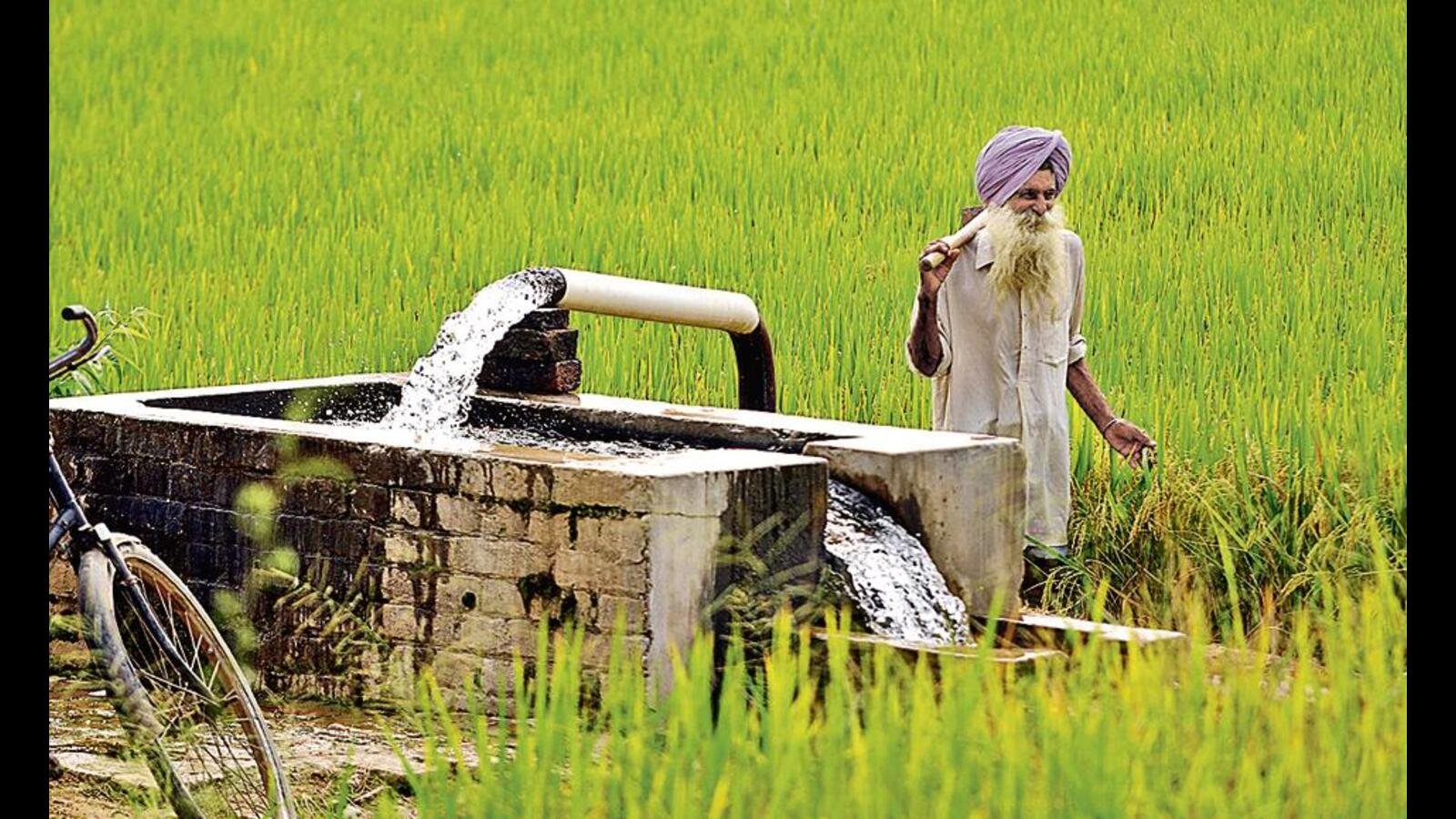 ਗੈਸਟ ਕਾਲਮ | ਪੰਜਾਬ ਦੇ ਬਿਮਾਰ ਧਰਤੀ ਹੇਠਲੇ ਪਾਣੀ ਦੇ ਨਿਯਮ ਨੂੰ ਸੰਬੋਧਨ ਕਰਦਿਆਂ