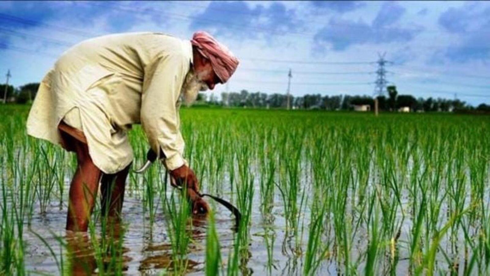 ਗੈਸਟ ਕਾਲਮ | ਪੰਜਾਬ ਨੂੰ ਵਾਪਸ ਕੌਮੀ ਏਜੰਡੇ ਵਾਪਸ ਲਿਆਓ