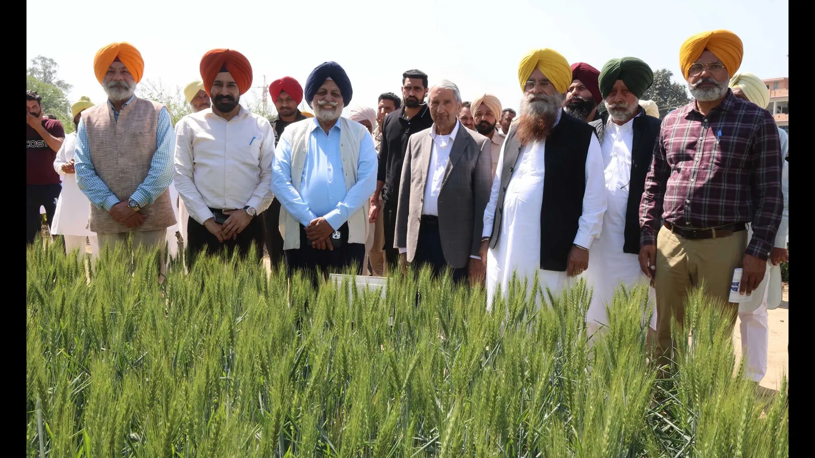 ਲੁਧਿਆਣਾ: ਖੇਤੀ ਮਾਹਰ ਕੁਦਰਤੀ ਖੇਤੀ ਲਈ ਧੱਕਦੇ ਹਨ