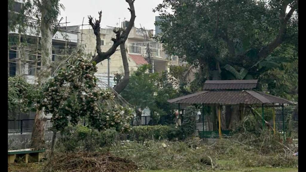 ਲੁਧਿਆਣਾ: ਗੁਰਦੇਵ ਨਗਰ ਨਿਵਾਸੀ ਨੇ ਐਮਸੀ ਮੁਖੀ ਨਾਲ ਦਰੱਖਤ ਕੱਟਣ ਨਾਲ ਸ਼ਿਕਾਇਤ ਦਰਜ ਕਰਵਾਈ