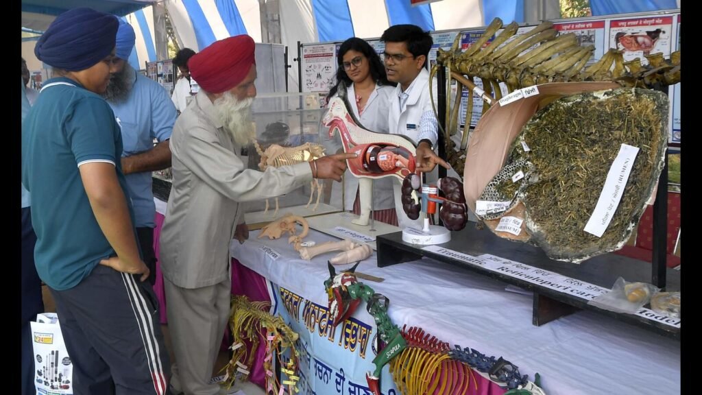 ਲੁਧਿਆਣਾ: ਮੱਛੀ ਦੇ ਅਤਰ ਪਸ਼ੂ ਪਲਾਂਨ ਮੇਲਾ ਵਿਖੇ ਪਸ਼ੂ ਵਰਸਿਟੀ ਵਿਖੇ ਪਸ਼ੂ ਪਲਾਂਨ ਮੇਲਾ ਵਿਖੇ ਇਕ ਭੀੜ ਖਿੱਚਦੇ ਹਨ