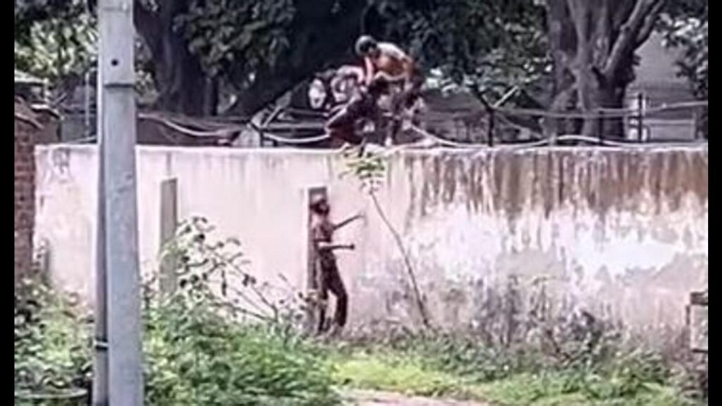 ਹੋਲੀ ਗੁੰਡੋਗਨਿਜ਼ਮ ਤੋਂ ਬਾਅਦ ਪੰਜਾਬ ਯੂਨੀਵਰਸਿਟੀ ਦੀ ਸੀਮਾ ਦੀ ਕੰਧ ਦੀ ਉਚਾਈ ‘ਤੇ 7 ਫੁੱਟ ਤੱਕ