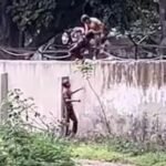 ਹੋਲੀ ਗੁੰਡੋਗਨਿਜ਼ਮ ਤੋਂ ਬਾਅਦ ਪੰਜਾਬ ਯੂਨੀਵਰਸਿਟੀ ਦੀ ਸੀਮਾ ਦੀ ਕੰਧ ਦੀ ਉਚਾਈ ‘ਤੇ 7 ਫੁੱਟ ਤੱਕ