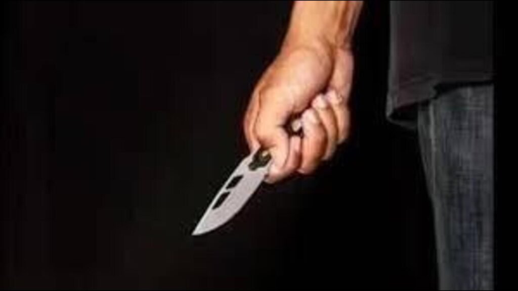 ਕਲਾਸ -11 ਵਿਦਿਆਰਥੀ ਚੰਡੀਗੜ੍ਹ ਦੇ ਦਾਦਨ ਦਾ ਮੱਕਾ ਮਾਰਿਆ