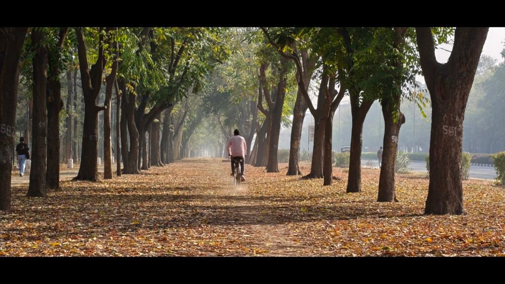 ਚੰਡੀਗੜ੍ਹ ਦੀਆਂ ਸੜਕਾਂ ਸੁੱਕੇ ਪੈਲੇ ਦੇ ਨਾਲ ਘਟਾਉਂਦੀਆਂ ਕੂੜੇਦਾਨਾਂ ਦੇ ਨਾਲ ਭੜਕਦੀਆਂ ਹਨ