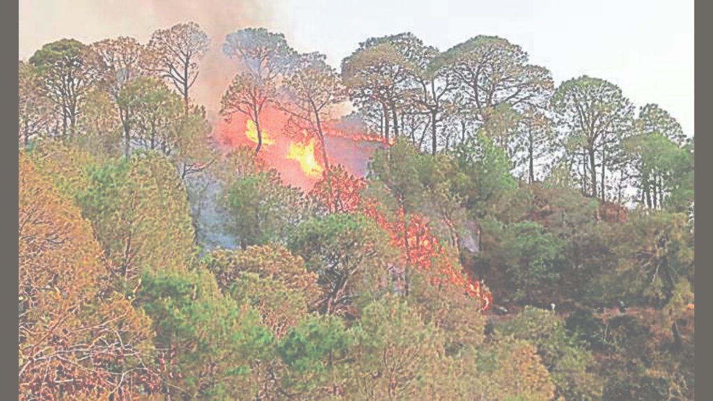 ਪੰਚਕੁਲਾ: ਮੋਰਨੀ ਸੁਰੱਖਿਅਤ ਜੰਗਲ ਵਿਚ ਅੱਗ ਲੱਗਣ ਲਈ 4 ਨੌਜਵਾਨਾਂ ਦਾ ਖੁਲਾਇਆ ਗਿਆ