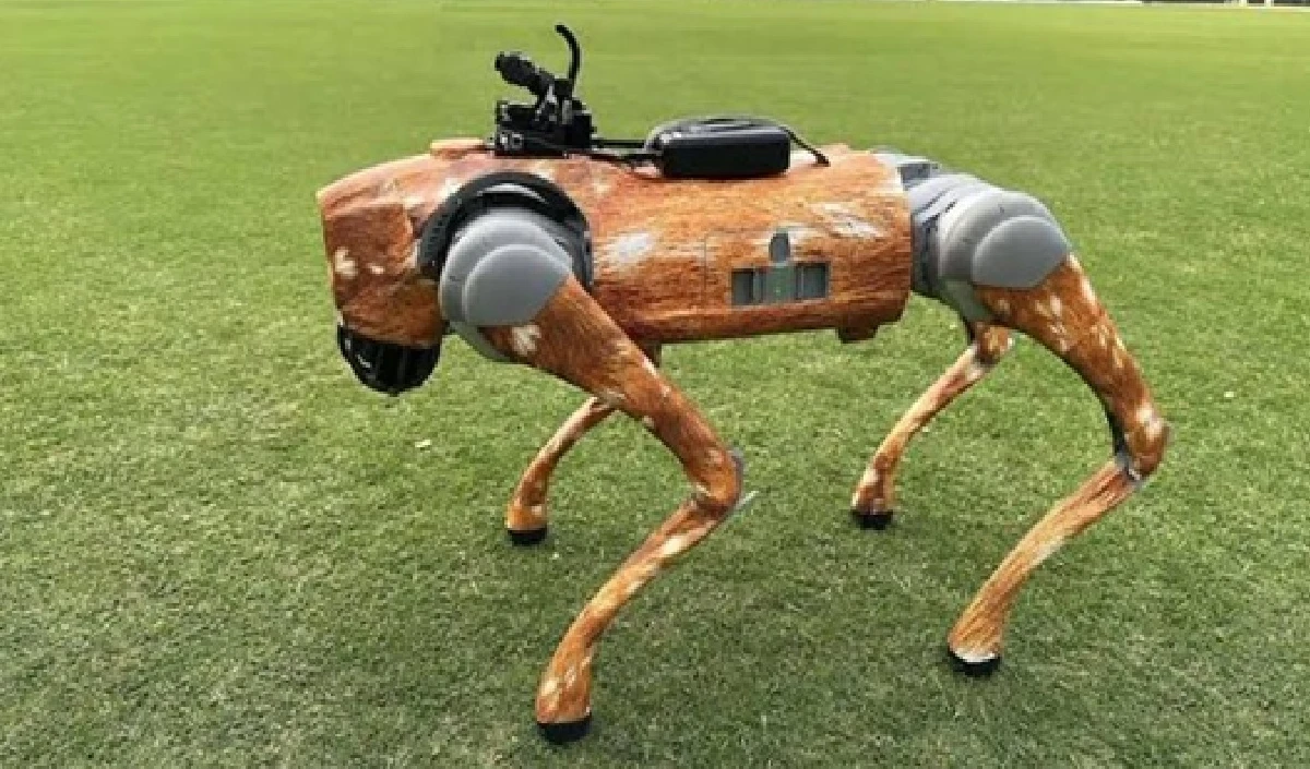 ਆਈਪੀਐਲ 2025: ਬੀਸੀਸੀਆਈ ਲਈ ਬਣੇ ਮੁਸੀਬਤਾਂ ਦਾ ਨਾਮ