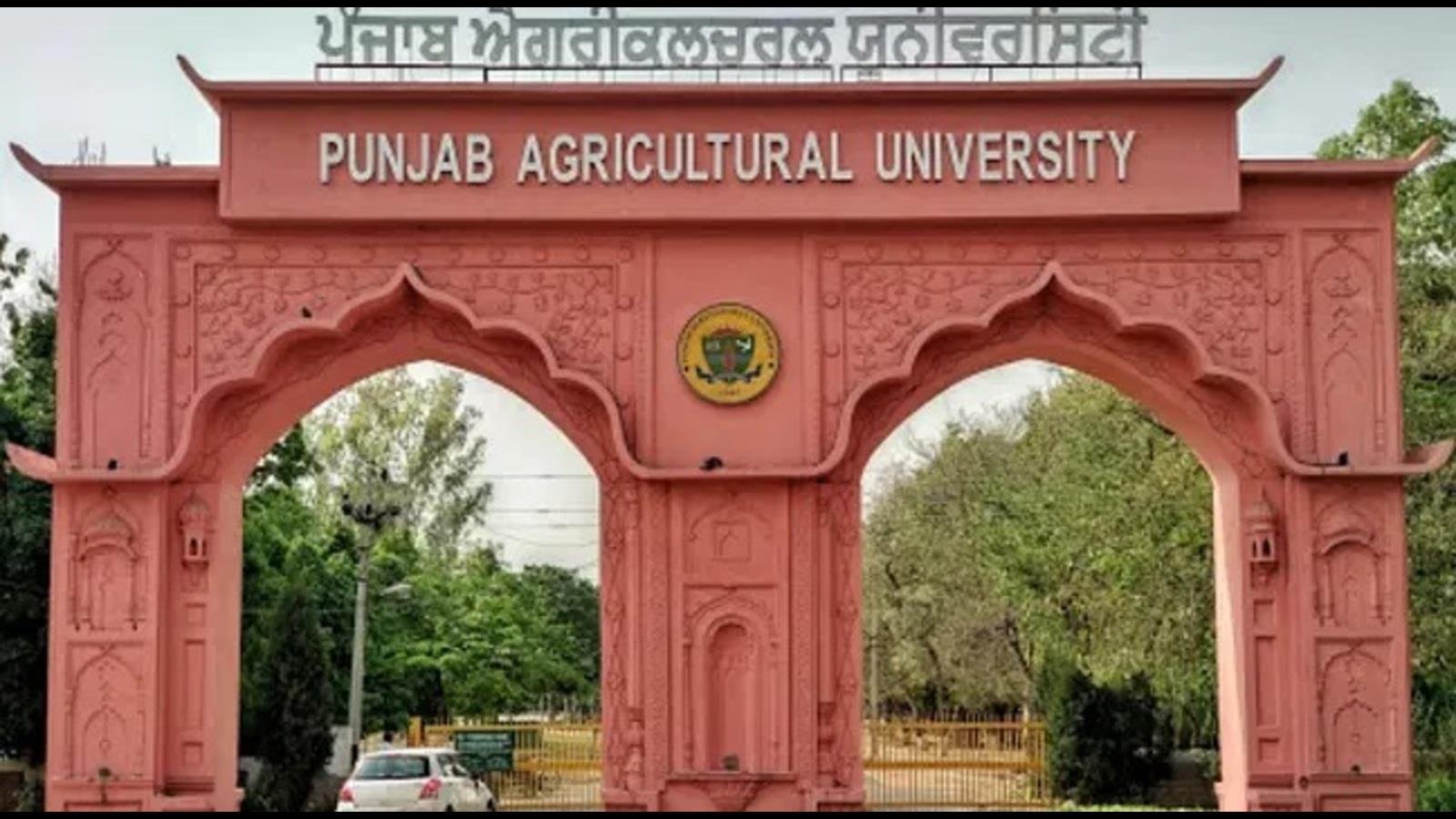 ਉਪ 1 ਚਾਵਲ ਦੇ ਤਣਾਅ ਉਪਜ, ਕੁਸ਼ਲਤਾ ਲਈ ਬੈਂਚਮਾਰਕ ਸੈੱਟ ਕਰਦਾ ਹੈ: ਪਾਉ