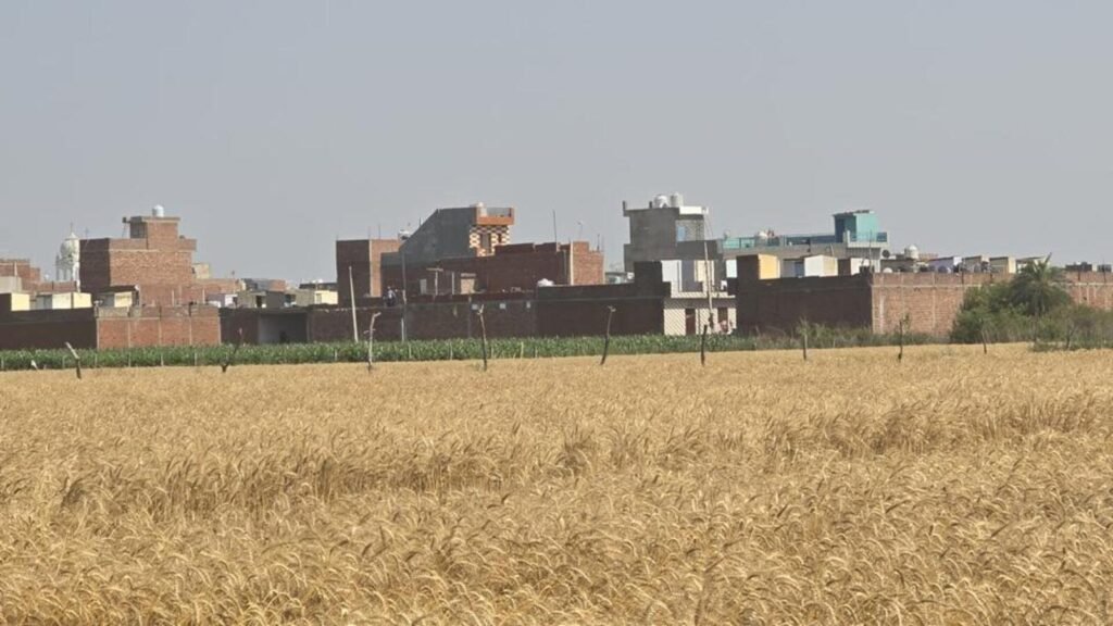 ਡੂੰਘੀ ਨੀਂਦ ਵਿਚ ਗਮਾਡਾ 15 ਨਾਜਾਇਜ਼ ਕਾਲੋਨੀਆਂ ਮੁਹਾਲੀ ਵਿਚ ਫੁੱਟਦੀਆਂ ਹਨ