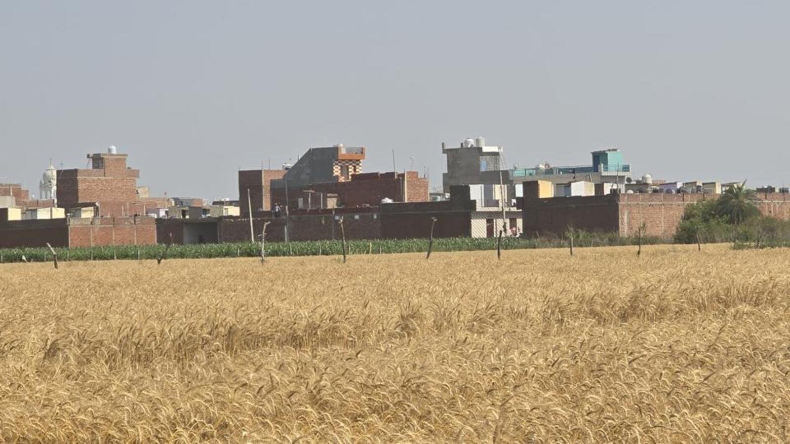 ਡੂੰਘੀ ਨੀਂਦ ਵਿਚ ਗਮਾਡਾ 15 ਨਾਜਾਇਜ਼ ਕਾਲੋਨੀਆਂ ਮੁਹਾਲੀ ਵਿਚ ਫੁੱਟਦੀਆਂ ਹਨ