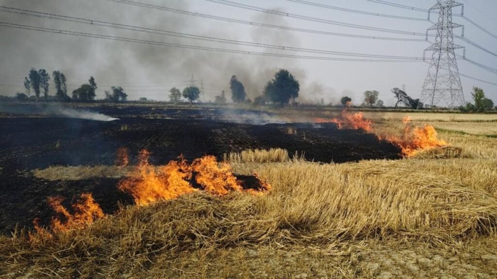 ਦਿੱਲੀ, ਹਰਿਆਣਾ, ਖੇਤੀ ਅੱਗ ਨੂੰ ਰੋਕਣ ਲਈ ਪੰਜਾਬ, ਹਰਿਆਣਾ ਨਾਲ ਸੰਯੁਕਤ ਕਾਰਵਾਈ ਦੀ ਯੋਜਨਾ ਹੈ
