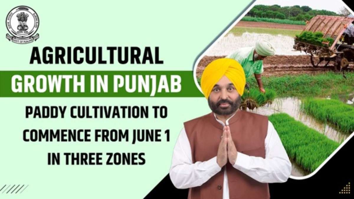 ਪੰਜਾਬ ਵਿੱਚ ਖੇਤੀਬਾੜੀ ਵਿਕਾਸ: ਤਿੰਨ ਜ਼ੋਨ ਵਿੱਚ 1 ਜੂਨ ਤੋਂ ਝੋਨੇ ਦੀ ਕਾਸ਼ਤ | ਪੂਰੇ ਵੇਰਵਿਆਂ ਦੀ ਜਾਂਚ ਕਰੋ