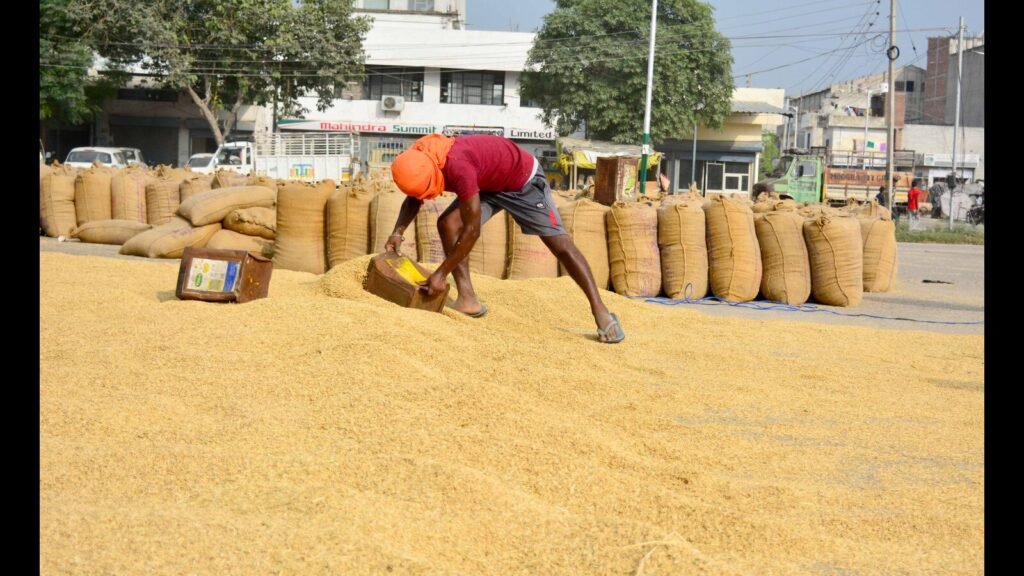 ਲੁਧਿਆਣਾ: ਕਣਕ ਦੀ ਮਾਲ ਦੀ ਲੋਡਿੰਗ ਜ਼ਿਲ੍ਹੇ ਵਿੱਚ 25% ਡਿੱਗਦੀ ਹੈ