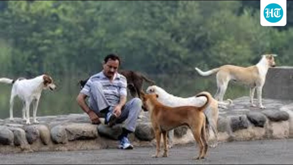 SC ਦੇ ਹੁਕਮਾਂ ਤੋਂ ਬਾਅਦ, ਚੰਡੀਗੜ੍ਹ MC ਨੇ ਆਵਾਰਾ ਕੁੱਤਿਆਂ ਦੇ ਪ੍ਰਬੰਧਨ, ਭਲਾਈ ਲਈ ਕਦਮ ਚੁੱਕੇ ਹਨ