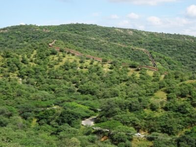 ਕੇਂਦਰ ਨੇ ਅਰਾਵਲੀਸ ਵਿੱਚ ਨਵੇਂ ਮਾਈਨਿੰਗ ਲੀਜ਼ਾਂ 'ਤੇ ਪੂਰੀ ਪਾਬੰਦੀ ਲਗਾਈ, ਤੁਰੰਤ ਈਕੋਸਿਸਟਮ ਦੀ ਸੁਰੱਖਿਆ ਦੀ ਮੰਗ ਕੀਤੀ