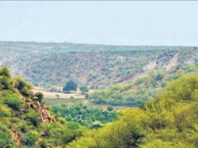 ਚੰਡੀਗੜ੍ਹ: ਕੇਂਦਰ ਯੂਟੀ ਗ੍ਰੀਨ ਬਾਡੀਜ਼ ਦਾ ਪੁਨਰਗਠਨ ਕਰੇਗਾ, ਅਰਜ਼ੀਆਂ ਮੰਗੀਆਂ