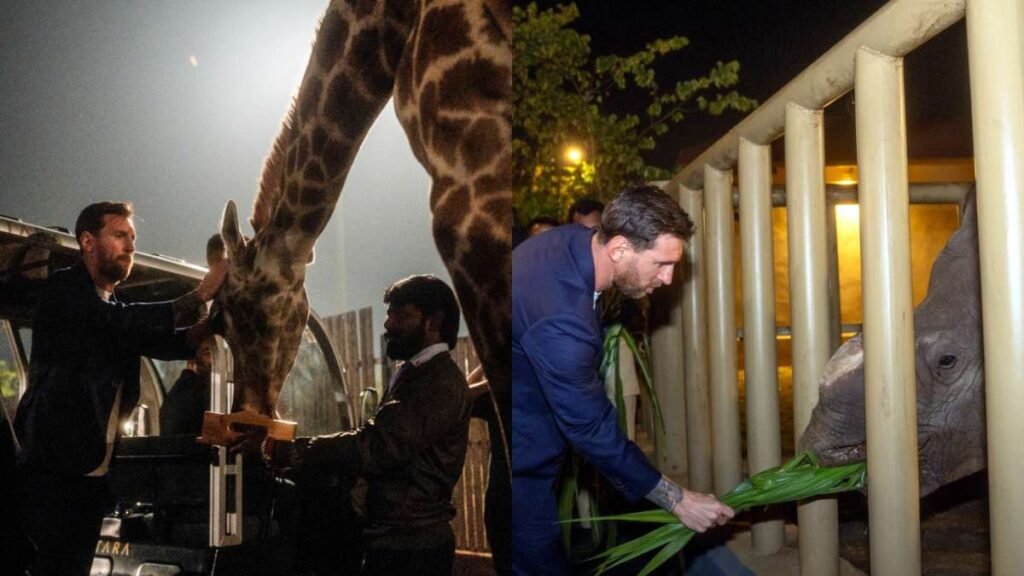 ਦੇਖੋ: ਵਾਂਤਾਰਾ ਦੇ ਦੌਰੇ ਦੌਰਾਨ ਜੰਗਲੀ ਜੀਵਾਂ ਨਾਲ ਲਿਓਨੇਲ ਮੇਸੀ ਦਾ ਅਸਾਧਾਰਨ ਮੁਕਾਬਲਾ