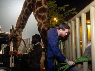 ਦੇਖੋ: ਵਾਂਤਾਰਾ ਦੇ ਦੌਰੇ ਦੌਰਾਨ ਜੰਗਲੀ ਜੀਵਾਂ ਨਾਲ ਲਿਓਨੇਲ ਮੇਸੀ ਦਾ ਅਸਾਧਾਰਨ ਮੁਕਾਬਲਾ