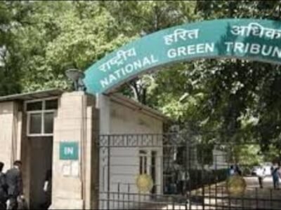 ਬਿਜਲੀ ਮਹਾਦੇਵ ਰੋਪਵੇਅ: NGT ਨੇ ਹਿਮਾਚਲ ਸਰਕਾਰ ਨੂੰ ਤਿੰਨ ਹਫ਼ਤਿਆਂ ਵਿੱਚ ਜਵਾਬ ਦਾਖ਼ਲ ਕਰਨ ਲਈ ਕਿਹਾ ਹੈ