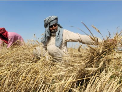 ਮਾਲਵੇ ਦੇ ਅੱਧੇ ਕਿਸਾਨ ਕਿਰਾਏ ਦੇ ਟਰੈਕਟਰਾਂ ਤੇ ਖੇਤੀ ਮਸ਼ੀਨਾਂ 'ਤੇ ਨਿਰਭਰ: ਪੀਬੀਆਈ ਯੂਨੀਵਰਸਿਟੀ ਦਾ ਅਧਿਐਨ