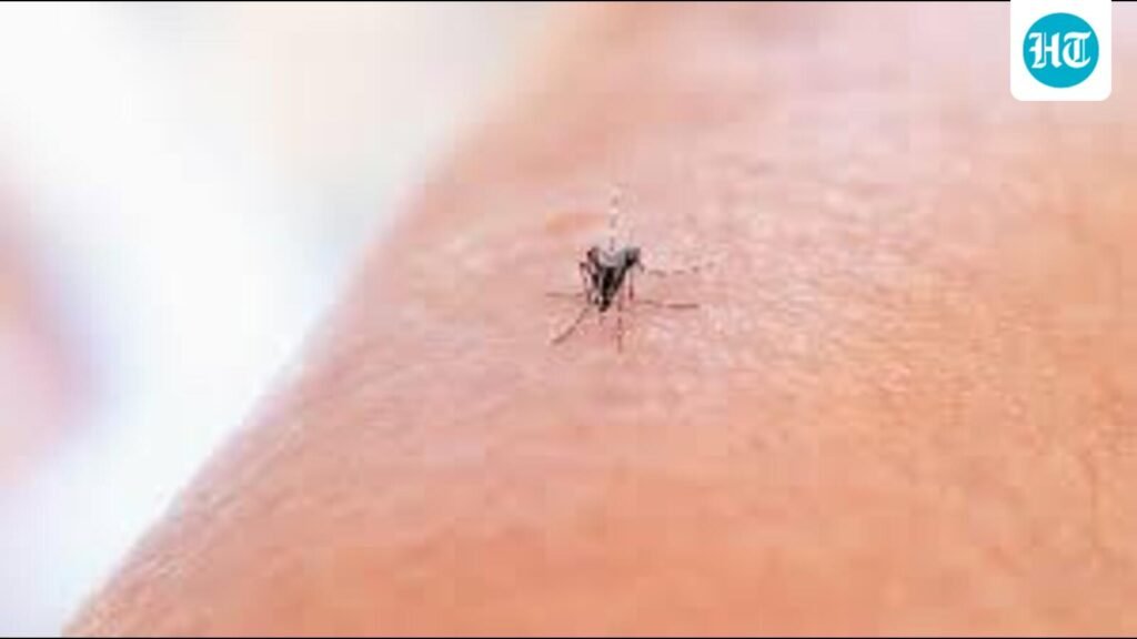 ਮੋਹਾਲੀ ‘ਚ ਡੇਂਗੂ ਦੇ ਮਾਮਲਿਆਂ ‘ਚ 85 ਫੀਸਦੀ ਕਮੀ ਆਈ ਹੈ