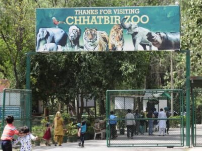 ਮੋਹਾਲੀ: ਛੱਤਬੀੜ ਚਿੜੀਆਘਰ ਵਿੱਚ ਕੰਬਲਾਂ ਤੋਂ ਲੈ ਕੇ ਹੀਟਰ ਤੱਕ ਸਭ ਕੁਝ ਹੈ