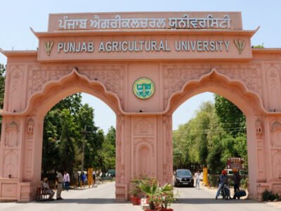 ਲੁਧਿਆਣਾ: ਖੇਤੀ ਵਪਾਰੀਆਂ ਨੇ ਪੀਏਯੂ ਦੀ ਬਿਜ਼ ਬੂਸਟ ਭੂਮਿਕਾ ਦੀ ਸ਼ਲਾਘਾ ਕੀਤੀ