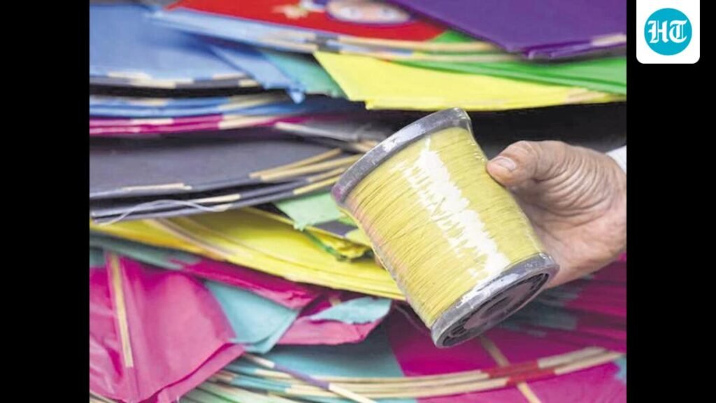 ਲੁਧਿਆਣਾ ‘ਚ ਪਲਾਸਟਿਕ ਦੀ ਪਤੰਗ ‘ਤੇ ਪਾਬੰਦੀ