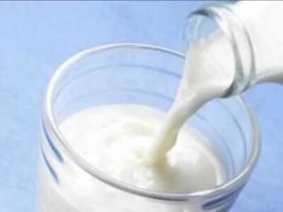 ਲੁਧਿਆਣਾ: ਡੇਅਰੀ ਫਾਰਮਰਜ਼ ਐਸੋਸੀਏਸ਼ਨ ਨੇ ਮੁੱਖ ਮੰਤਰੀ ਨੂੰ ਦੁੱਧ ਦੀਆਂ ਕੀਮਤਾਂ ਵਿੱਚ ਕਟੌਤੀ ਵਾਪਸ ਲੈਣ ਦੀ ਕੀਤੀ ਅਪੀਲ