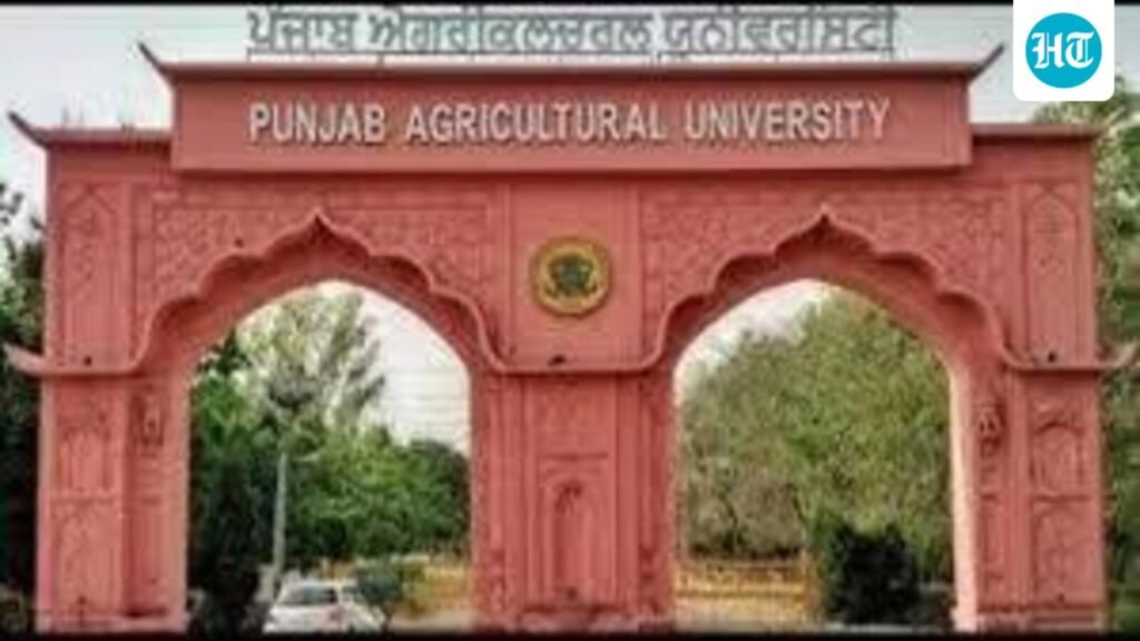 ਲੁਧਿਆਣਾ: ਪੀਏਯੂ ਨੂੰ ਅਜੇ ਤੱਕ ਸੜਕ ਚੌੜੀ ਕਰਨ ਲਈ 94 ਦਰੱਖਤ ਕੱਟਣ ਲਈ ਐਸਡੀਐਮ ਦੀ ਮਨਜ਼ੂਰੀ ਨਹੀਂ ਮਿਲੀ