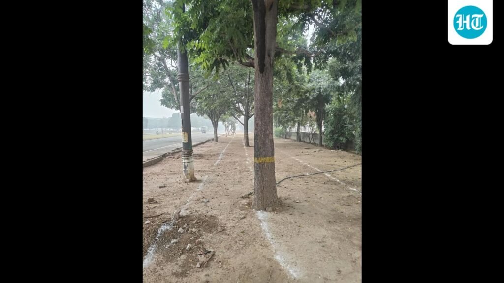 ਲੁਧਿਆਣਾ: ਵਿਦਿਆਰਥੀਆਂ ਨੇ ਸੜਕ ਦੇ ਕੰਮ ਲਈ ਪੀਏਯੂ ਦੇ ਦਰੱਖਤਾਂ ‘ਤੇ ਕੁਹਾੜਾ ਮਾਰਨ ਦੀ ਯੋਜਨਾ ਦਾ ਵਿਰੋਧ ਕੀਤਾ