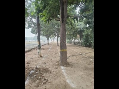 ਲੁਧਿਆਣਾ: ਵਿਦਿਆਰਥੀਆਂ ਨੇ ਸੜਕ ਦੇ ਕੰਮ ਲਈ ਪੀਏਯੂ ਦੇ ਦਰੱਖਤਾਂ 'ਤੇ ਕੁਹਾੜਾ ਮਾਰਨ ਦੀ ਯੋਜਨਾ ਦਾ ਵਿਰੋਧ ਕੀਤਾ