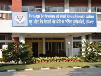 ਲੁਧਿਆਣਾ: ਵੈਟ ਯੂਨੀਵਰਸਿਟੀ ਨੇ ਨਵਾਂ ਇਨਕਿਊਬੇਸ਼ਨ ਸਮਝੌਤਾ ਕੀਤਾ ਹੈ