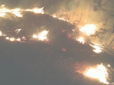 ਲੰਬੇ ਸਮੇਂ ਤੱਕ ਸੁੱਕੇ ਮੌਸਮ ਨੇ ਜੰਮੂ-ਕਸ਼ਮੀਰ ਦੀਆਂ ਨਦੀਆਂ ਨੂੰ ਸੁਕਾ ਦਿੱਤਾ ਹੈ, ਜੰਗਲਾਂ ਦੀ ਅੱਗ ਨੂੰ ਬਲਦੀ ਹੈ