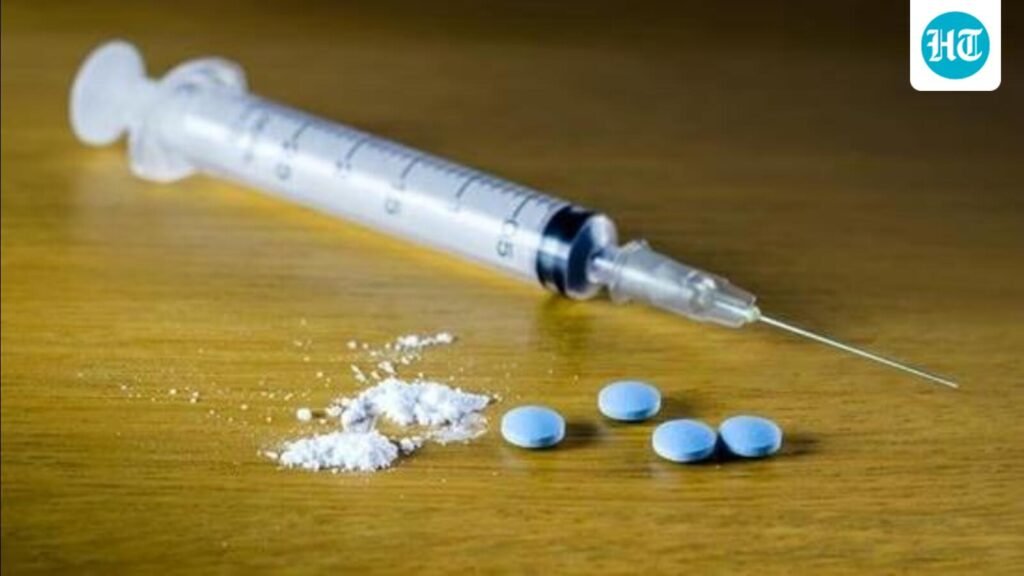 ਸ੍ਰੀਨਗਰ ਵਿੱਚ ਨਸ਼ੀਲੇ ਪਦਾਰਥਾਂ ਦੇ ਤਸਕਰ ਦਾ ਇੱਕ ਕਰੋੜ ਰੁਪਏ ਦਾ ਘਰ ਕੁਰਕ