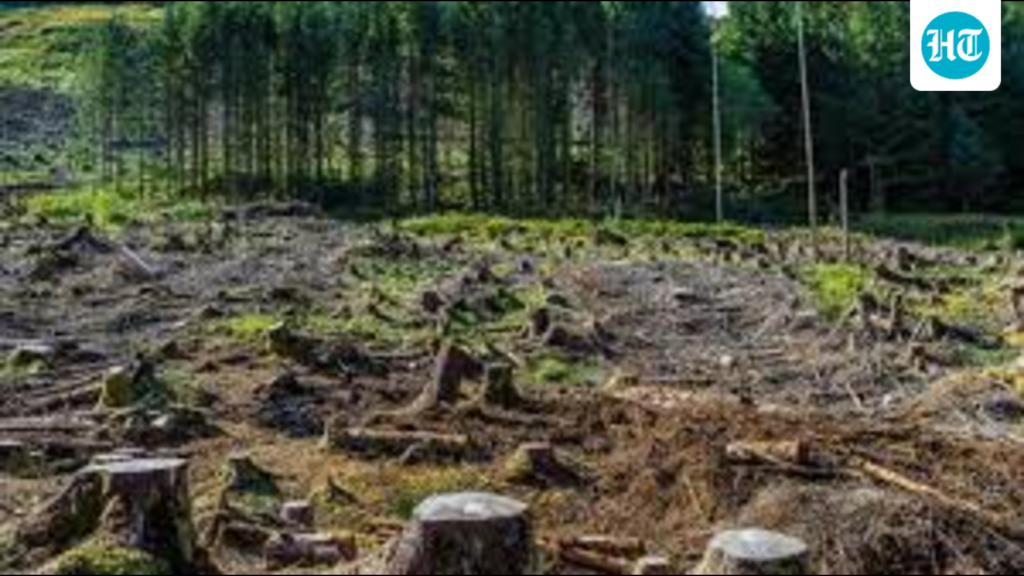 ਹਾਈ ਕੋਰਟ ਦਾ ਇਤਿਹਾਸਕ ਰੁੱਖ ਕੱਟਣ ‘ਤੇ ਪਾਬੰਦੀ: ਪੰਜਾਬ, ਹਰਿਆਣਾ ਨੂੰ ਹਰਿਆ ਭਰਿਆ ਕਰਨ ਲਈ ਇੱਕ ਨਿਆਂਇਕ ਮਾਸਟਰਸਟ੍ਰੋਕ