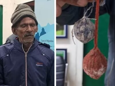 Wildbuzz | ਸ਼ਿਕਾਰ ਦਾ ਇੱਕ ਪੰਡੋਰਾ ਬਾਕਸ