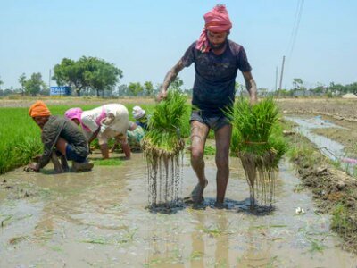 ਕਿਸਾਨ SC ਪੈਨਲ ਨੂੰ ਮਿਲੇ, ਸਾਰੀਆਂ ਫਸਲਾਂ 'ਤੇ MSP ਦੀ ਗਾਰੰਟੀ ਦੇਣ ਵਾਲੇ ਕਾਨੂੰਨ ਦੀ ਮੰਗ ਕਰੋ