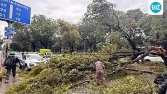 ਚੰਡੀਗੜ੍ਹ: 24 ਘੰਟੇ ਬਾਅਦ ਵੀ ਲਾਈਟਾਂ ਜਗਾਈਆਂ ਪਰ ਟ੍ਰਾਈਸਿਟੀ ਅਜੇ ਵੀ ਜਗਮਗਾ ਰਹੀ ਹੈ