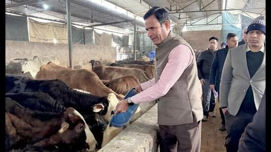 ਚੰਡੀਗੜ੍ਹ ਦੇ ਸ਼ੈੱਡ ‘ਤੇ ਪਸ਼ੂਆਂ ਦੀ ਮੌਤ: ਪ੍ਰਬੰਧਕਾਂ ਖਿਲਾਫ FIR ਦਰਜ