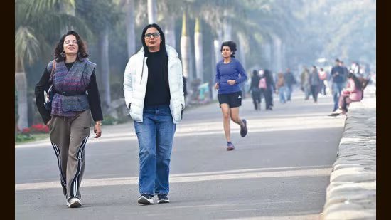 ਚੰਡੀਗੜ੍ਹ: ਪਾਰਾ 13.4 ਡਿਗਰੀ ਸੈਲਸੀਅਸ ਤੱਕ ਡਿੱਗਣ ਨਾਲ ਸਨੀ ਨੂੰ ਥੋੜ੍ਹੀ ਦੇਰ ਲਈ ਰਾਹਤ ਮਿਲੀ ਹੈ