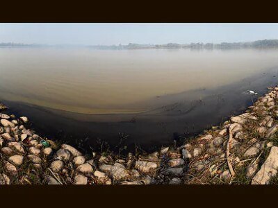 ਚੰਡੀਗੜ੍ਹ: ਸੁਖਨਾ ਝੀਲ 'ਚ ਤੇਲ ਦੇ ਰਿਸਾਅ ਕਾਰਨ ਮੱਛੀਆਂ ਦੀ ਮੌਤ ਹੋਣ ਦਾ ਖਦਸ਼ਾ ਹੈ