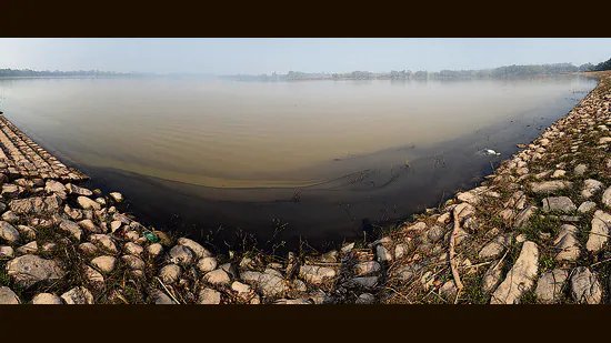 ਚੰਡੀਗੜ੍ਹ: ਸੁਖਨਾ ਝੀਲ ‘ਚ ਤੇਲ ਦੇ ਰਿਸਾਅ ਕਾਰਨ ਮੱਛੀਆਂ ਦੀ ਮੌਤ ਹੋਣ ਦਾ ਖਦਸ਼ਾ ਹੈ