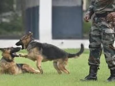 ਜ਼ਿੰਦਗੀ ਦਾ ਮਸਾਲਾ: ਮਾਰਿਆ ਅਤੇ ਕੱਟਿਆ: ਹਾਰਨ ਲਈ ਪਿਆਰ, ਜੀਵਨ ਪੂਰਾ ਚੱਕਰ ਆਉਂਦਾ ਹੈ