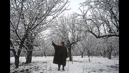 ਤਾਜ਼ਾ ਬਰਫਬਾਰੀ ਨੇ ਕਸ਼ਮੀਰ ਘਾਟੀ ਨੂੰ ਠੱਪ ਕਰ ਦਿੱਤਾ ਹੈ