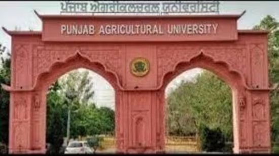 ਪੀਏਯੂ 2025-26 ਦੇ ਬਜਟ ਵਿੱਚ ਐਲਾਨੀ ਗਈ ₹ 40 ਕਰੋੜ ਗ੍ਰਾਂਟ ਦੀ ਪਹਿਲੀ ਕਿਸ਼ਤ ਦੀ ਉਡੀਕ ਕਰ ਰਿਹਾ ਹੈ