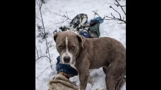 ਭਰਮੌਰ ਦੁਖਾਂਤ: ਠੰਢੇ ਉਜਾੜ ‘ਚ ਵਫ਼ਾਦਾਰ ਕੁੱਤੇ ਨੇ 4 ਦਿਨ ਨੌਜਵਾਨ ਦੀ ਲਾਸ਼ ‘ਤੇ ਰੱਖਿਆ